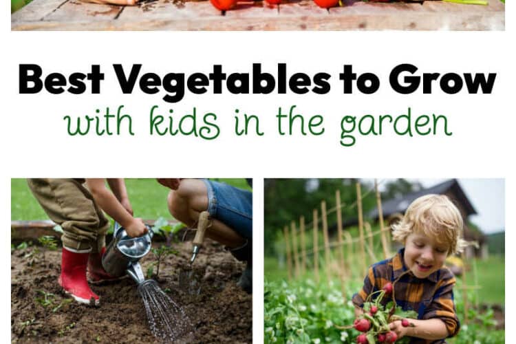 Best Vegetables to Grow with Kids in the Garden