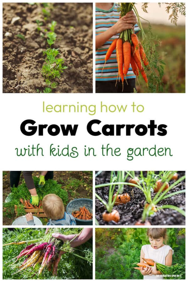 Growing Carrots With Kids Gets Them Excited About Eating Healthy!