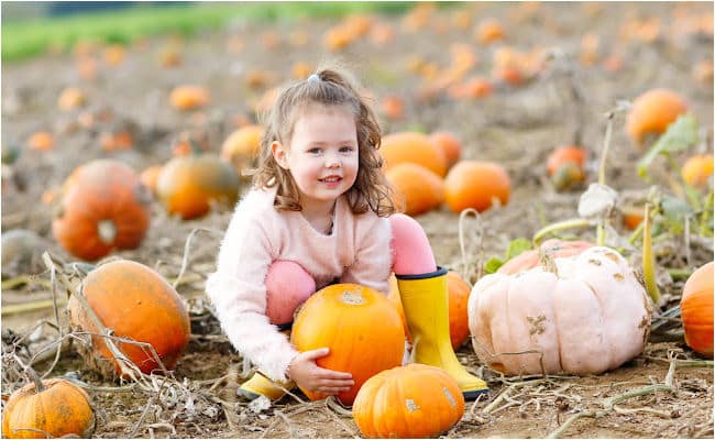 Child in Pumpkin Patch