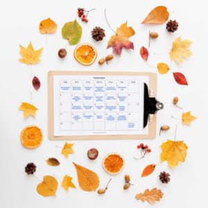 November Activity Calendar 2026