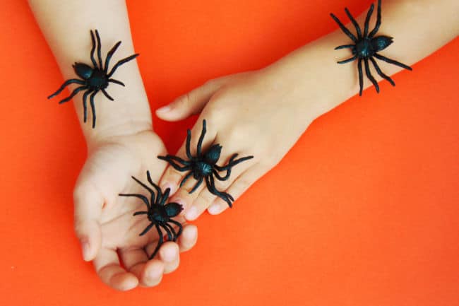 Choosing Spider Books for Kids for Engaging Halloween Fun