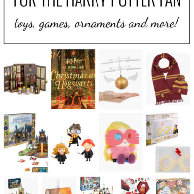 Harry Potter Gifts for Kids