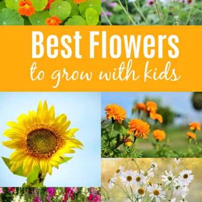 10 Flowers to Grow with Kids