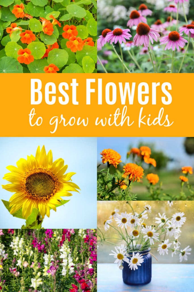 best-flowers-to-grow-with-kids - The Educators' Spin On It 10 Best Flowers to Grow with Kids in Your Garden