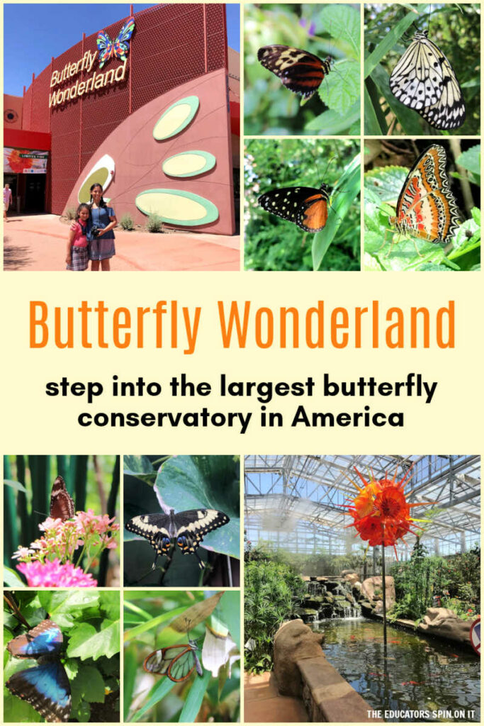 Butterfly Wonderland - step into the largest butterfly conservatory in America