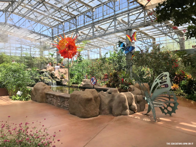 Butterfly Wonderland Pond and Waterfall