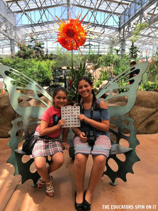 Butterfly Wonderland Vij Family Road Trip