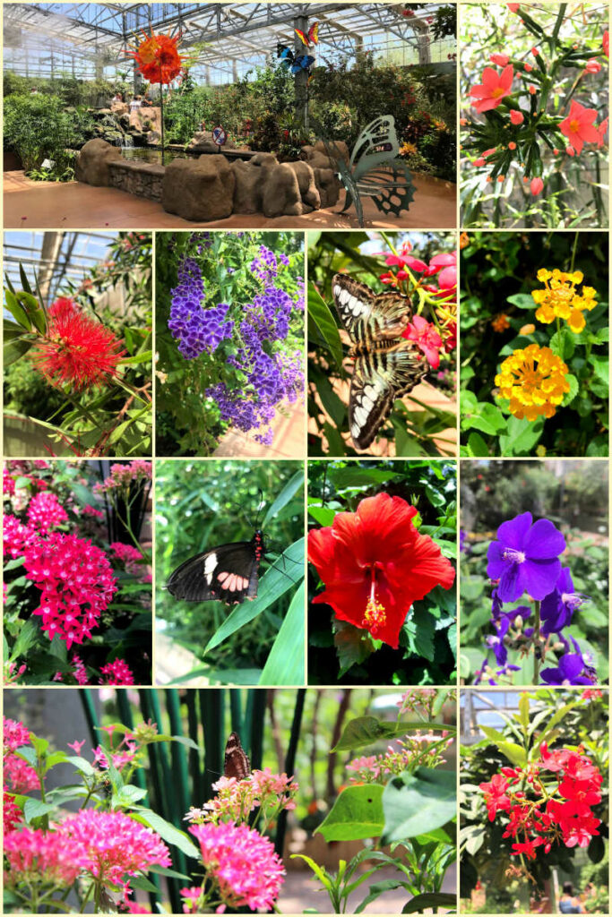 Botanical Gardens at Butterfly Wonderland