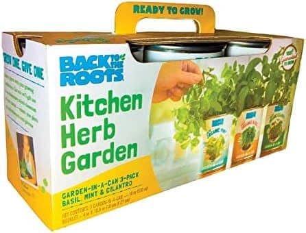 Kitchen Herb Garden