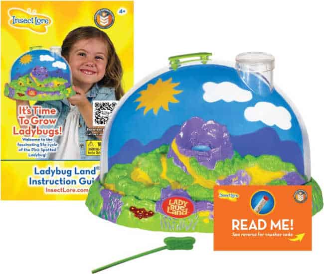 Ladybug Kit