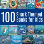 Shark Themed Books for Kids