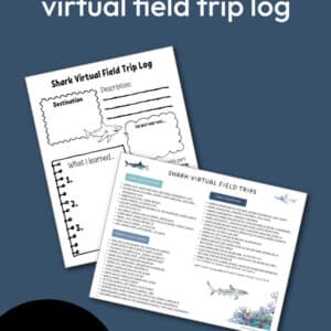 Shark Virtual Field Trip Log