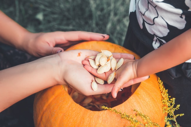 Child scooping out pumpkin seeds for Pumpkin Seed Math Activities.