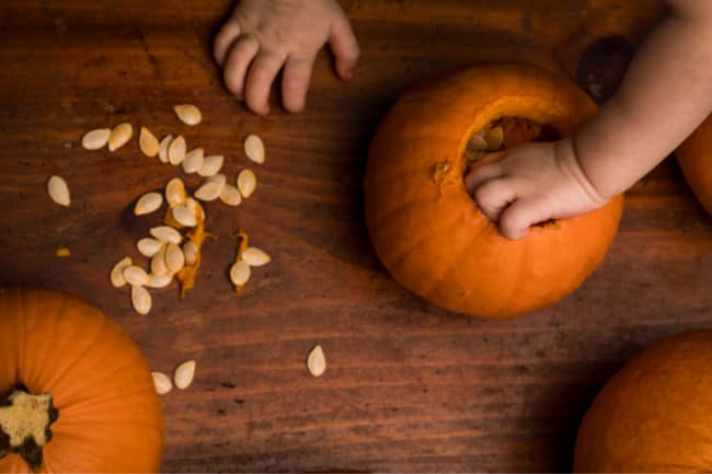 Child scooping out pumpkin seeds for Pumpkin Seed Math Activities.
