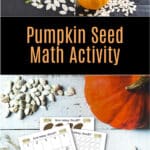 Pumpkin Seed Math Activities for Kids. Download 4 pumpkin seed math activity printables for kids to count, sort, and explore numbers this fall.