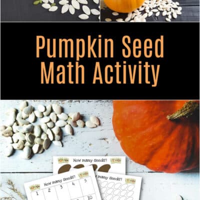 Pumpkin Seed Math Activities for Kids