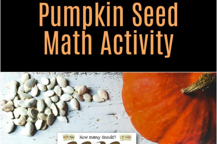 Pumpkin Seed Math Activities for Kids. Download 4 pumpkin seed math activity printables for kids to count, sort, and explore numbers this fall.