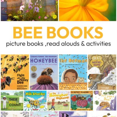 Honey Bee Books for Kids