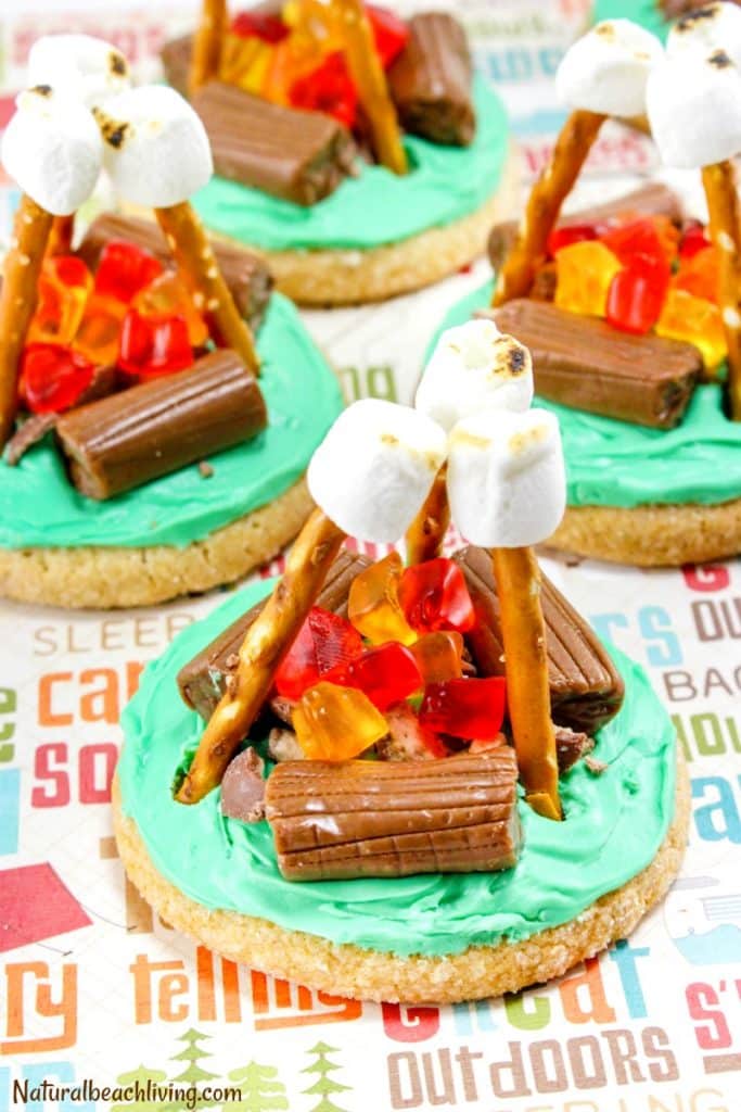 Campfire-Cookies-pin1-683x1024 - The Educators' Spin On It Campfire Cookies with Candy