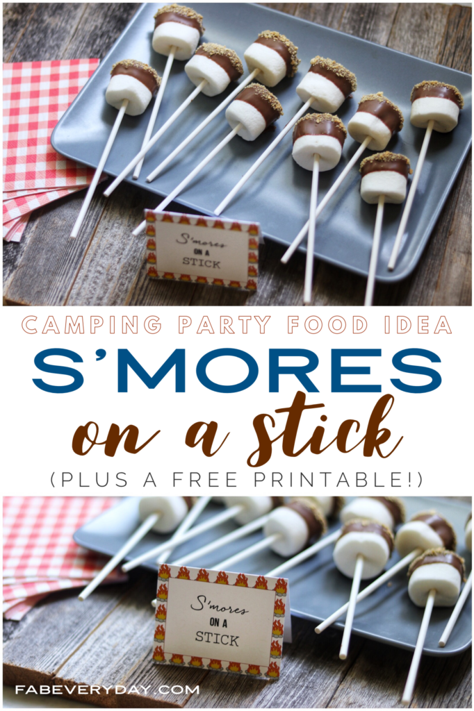 Camping-Party-Food-Ideas-Smores-on-a-Stick-Header - The Educators' Spin On It Smores on a Stick